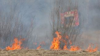 Фото из архива