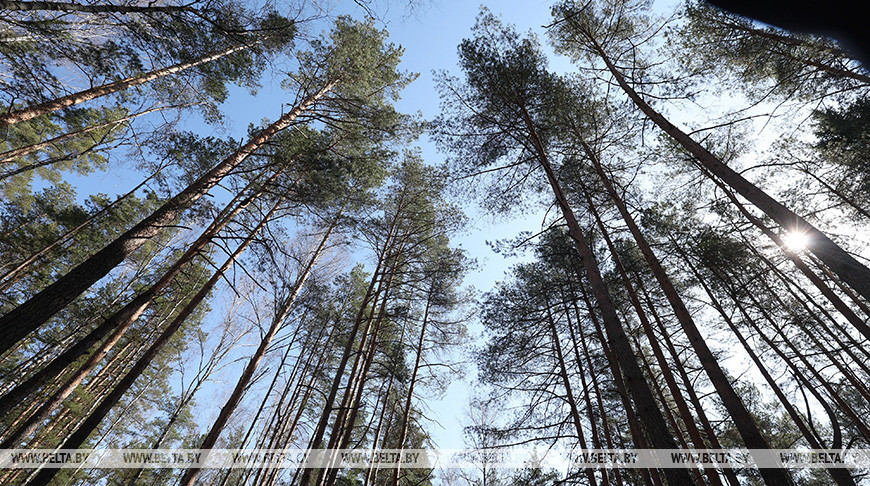 Фото из архива