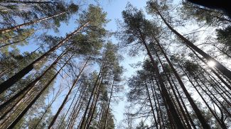 Фото из архива