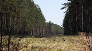 Фото из архива