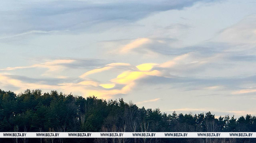 Снова снег и ночные заморозки? Какую погоду принесут в Беларусь 