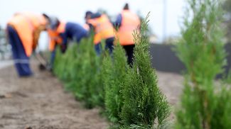 Фото из архива