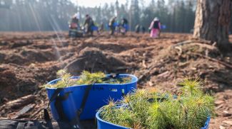 Фото из архива