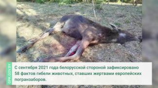 Скриншот видео ГПК