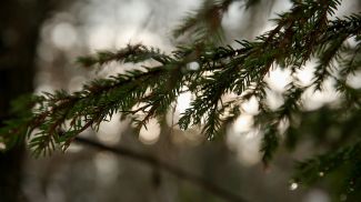 Фото из архива