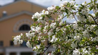 Фото из архива