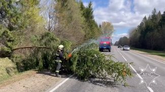 Скриншот видео МЧС