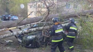 Скриншот видео МЧС