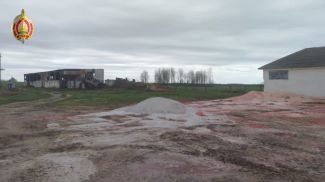 Скриншот видео МВД