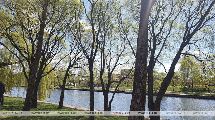 Заморозков еще не будет. Синоптики рассказали о погоде 26 апреля