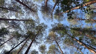 Фото из архива