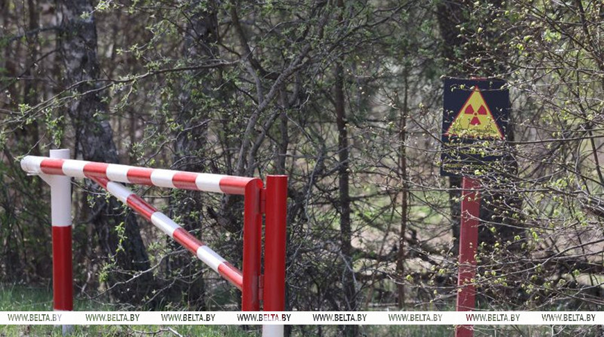 Эксперт: выпавшие на Беларусь после аварии на ЧАЭС стронций и цезий распались на 62-64%