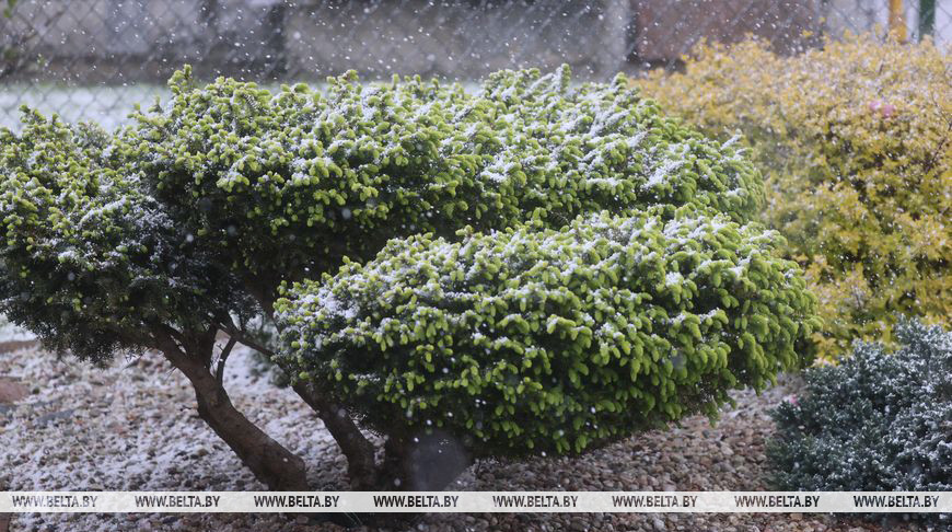 Снег в конце апреля? Синоптики рассказали, где он выпал сегодня в Беларуси