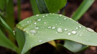 Фото из архива