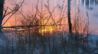 Фото из архива