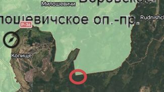 Фото Минлесхоза