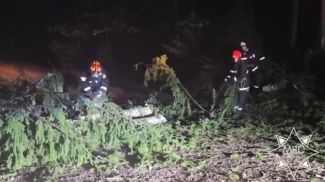 Скриншот видео МЧС