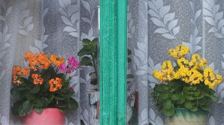 Фото из архива