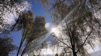 Фото из архива
