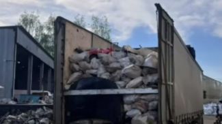 Скриншот видео МВД