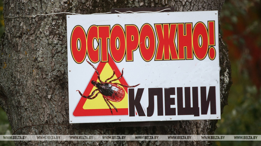 Пресс-конференция о профилактике и лечении клещевых инфекций пройдет в БЕЛТА 22 мая