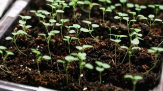 Фото из архива