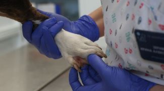 Фото из архива