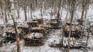 Фото внутренних войск МВД Беларуси