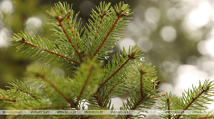 Фото из архива