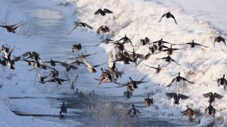 Фото из архива