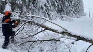 Фото РУП "Витебскэнерго"