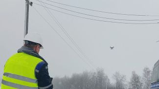 Фото "Гомельэнерго"