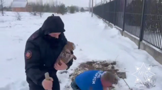 Скриншот видео МЧС