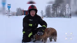 Скриншот видео МЧС