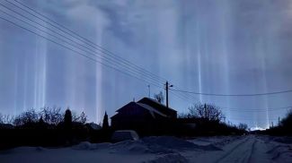 Фото из социальных сетей