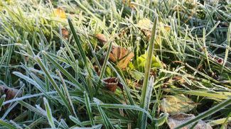 Фото из архива