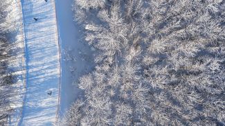 Фото из архива