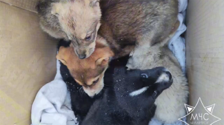 Скриншот видео МЧС