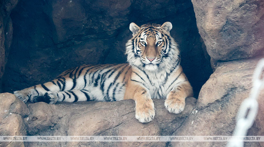 Фото из архива