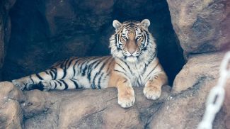 Фото из архива