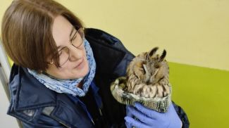 Фото Минского городского комитета природных ресурсов и охраны окружающей среды