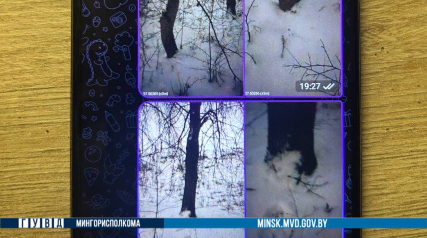 Фото ГУВД Мингорисполкома