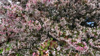 Фото из архива