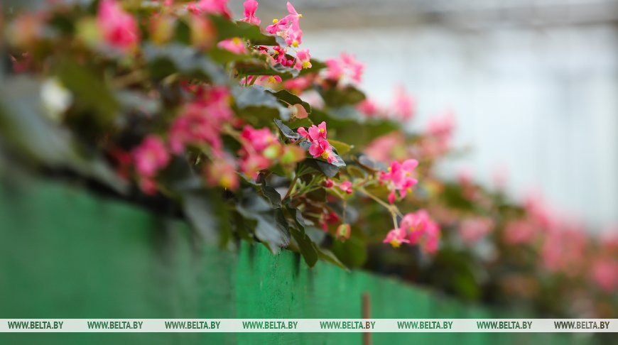 Фото из архива