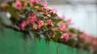 Фото из архива