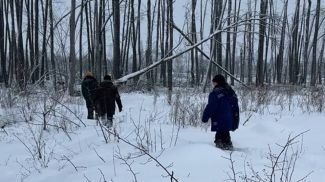 Фото Брестского ГПЛХО