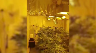 Скриншот видео МВД