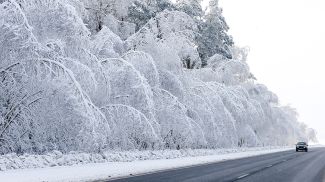 Фото из архива