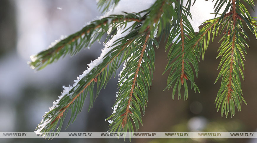 Фото из архива