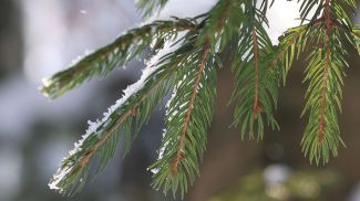 Фото из архива